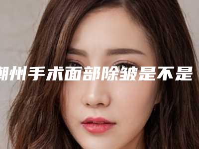 潮州手术面部除皱是不是越贵的越好